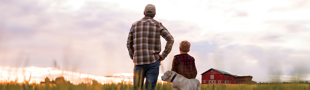 Farmer, son and dog in field watching sunset behind barn